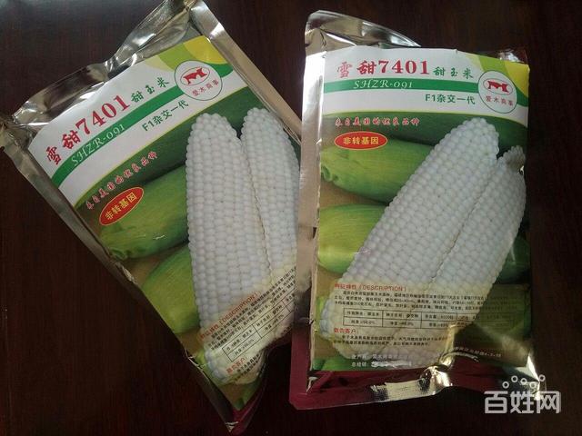 【图】- 超甜玉米种子 - 烟台莱阳农林牧副渔 - 莱阳百姓网