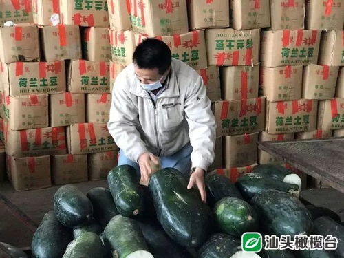 关注 汕头农副产品批发中心市场保障果蔬供应
