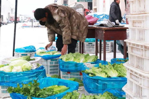 菜篮子 供应量足价稳 降雪首日走访山西屯汇农产品批发市场